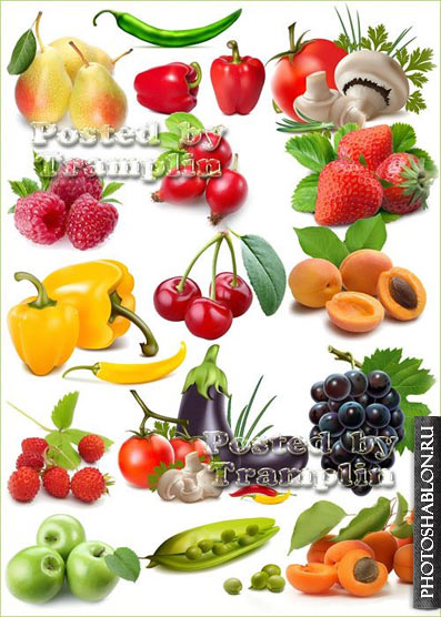 готовые продукты для похудения готовые продукты для похудения