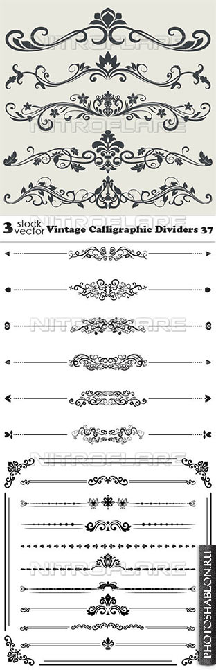 Vectors - Vintage Calligraphic Dividers 37