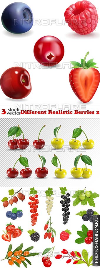 Векторный клипарт - Реалистичные ягоды / Different Realistic Berries 2