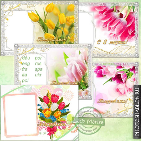 Набор поздравительных фоторамок - Разноцветные тюльпаны