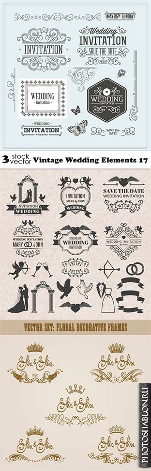 Vectors - Vintage Wedding Elements 17