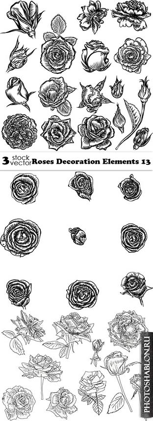 Векторный клипарт - Розы / Vectors - Roses Decoration Elements 13