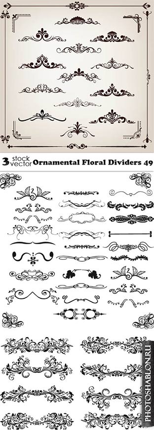 Vectors - Ornamental Floral Dividers 49