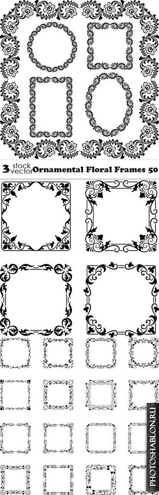 Vectors - Ornamental Floral Frames 50