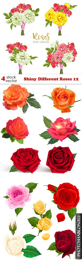 Векторный клипарт - Розы / Shiny Different Roses 12