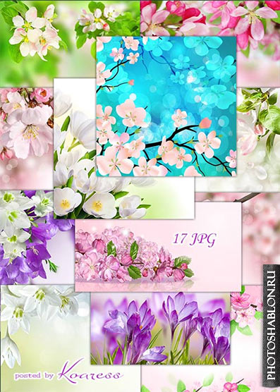 Цветочные растровые фоны для дизайна - Весенние цветы