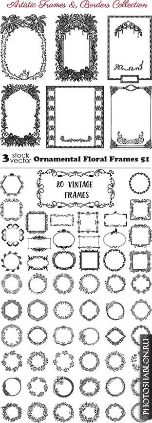 Vectors - Ornamental Floral Frames 51
