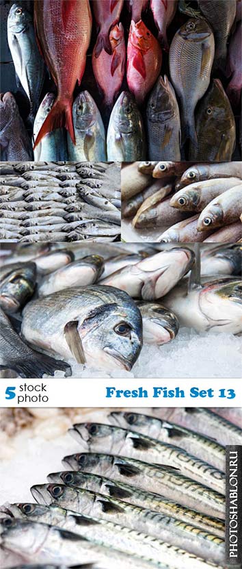 Растровый клипарт - Свежая рыба / Fresh Fish Set 13