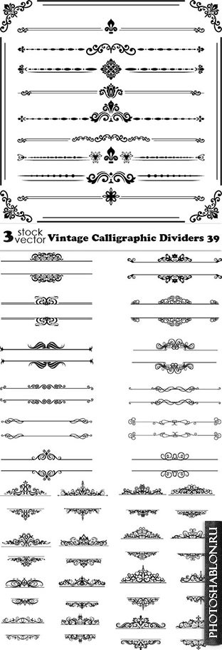 Vectors - Vintage Calligraphic Dividers 39