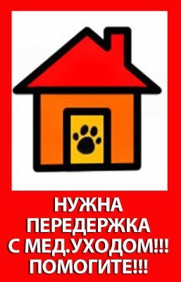 Мне срочно нужно уход Мне срочно нужно уход
