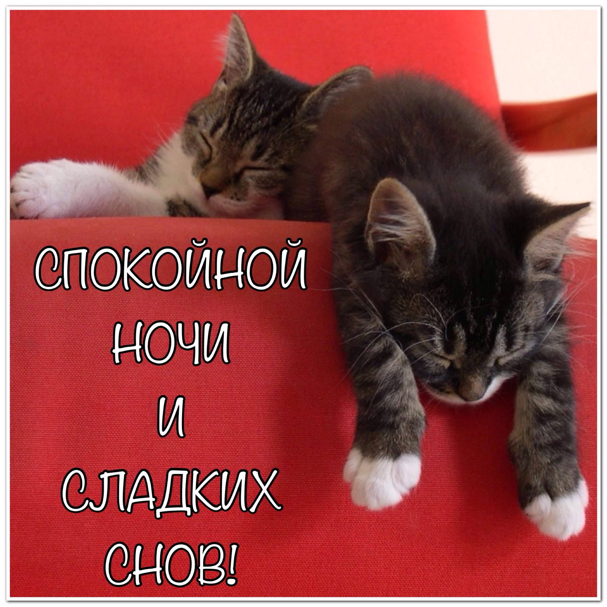 http://photoshablon.ru/_ph/40/550265789.jpg
