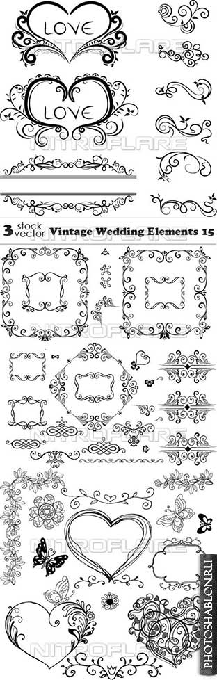 Vectors - Vintage Wedding Elements 15