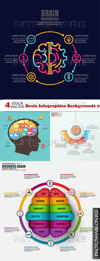 Vectors - Brain Infographics Backgrounds 16