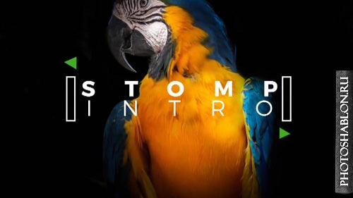 Stomp Intro 55758 - After Effects Templates