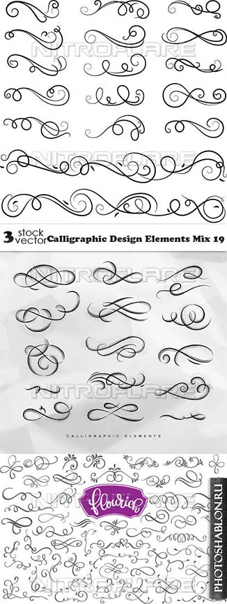 Vectors - Calligraphic Design Elements Mix 19