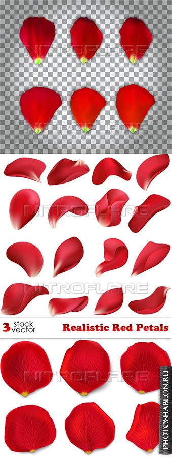Векторный клипарт - Лепестки цветов / Vectors - Realistic Red Petals