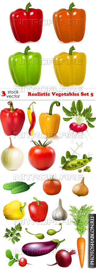 Векторный клипарт - Реалистичные овощи / Realistic Vegetables