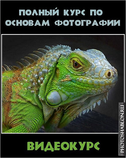 Полный курс цифровой фотографии