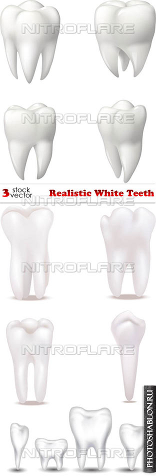 Векторный клипарт - Реалистичные белые зубы / Vectors - Realistic Whit