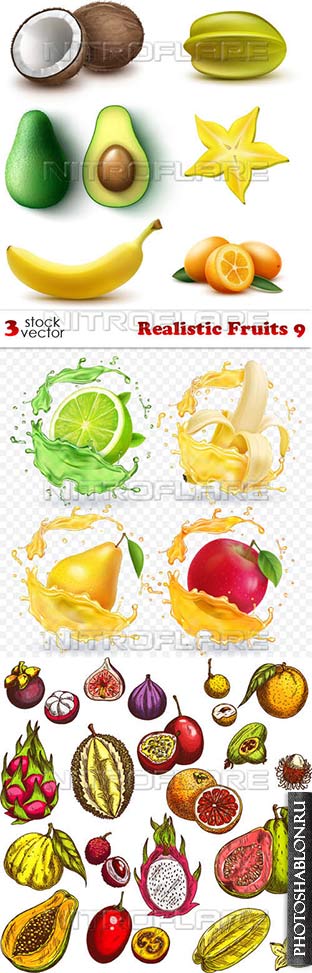 Vectors - Реалистичные фрукты / Realistic Fruits 9