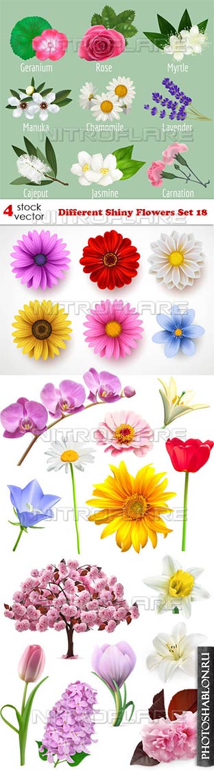 Векторный клипарт - Цветы / Different Shiny Flowers Set 18