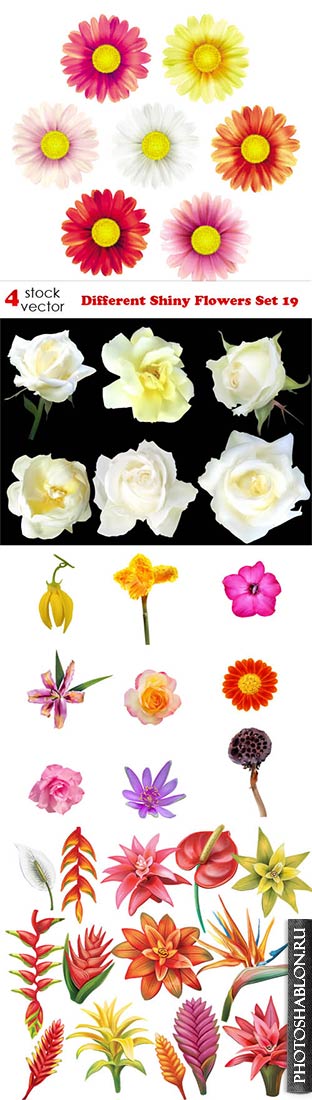 Векторный клипарт - Цветы / Different Shiny Flowers Set 19