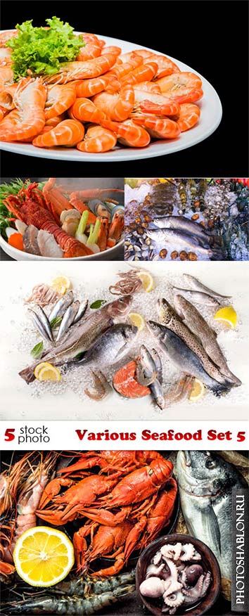 Клипарт, фото HD - Морепродукты / Photos - Various Seafood Set 5