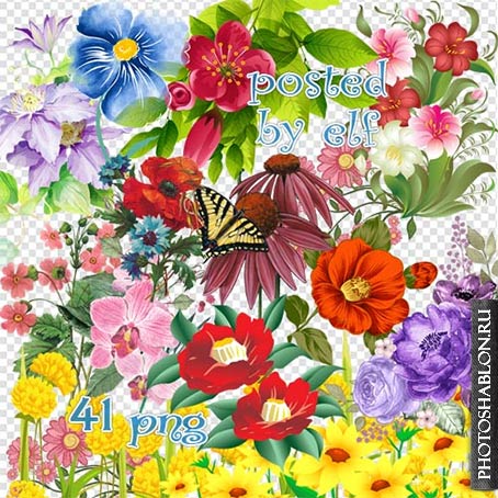Клипарт на прозрачном фоне – Цветы, цветочные композиции