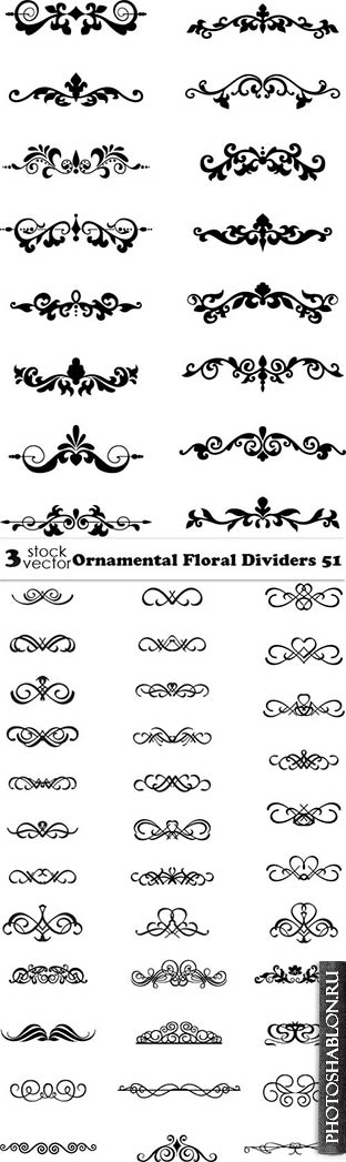 Vectors - Ornamental Floral Dividers 51
