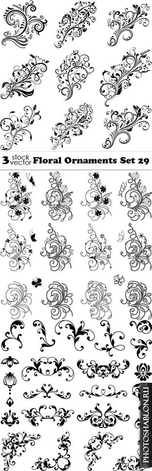 Vectors - Floral Ornaments Set 29