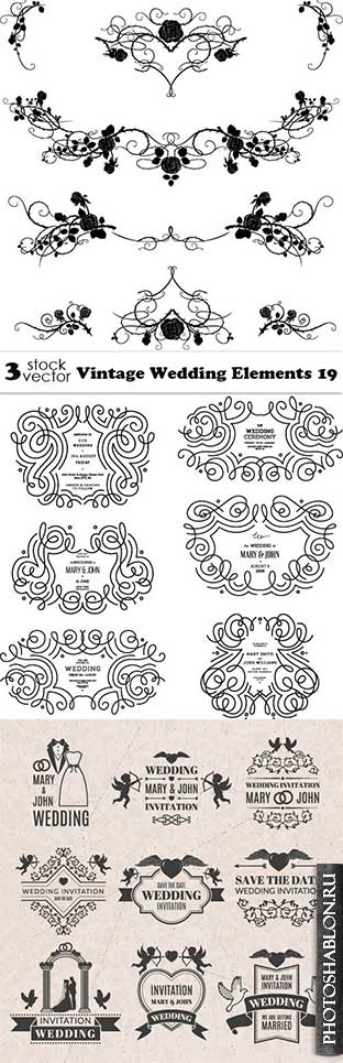 Vectors - Vintage Wedding Elements 19