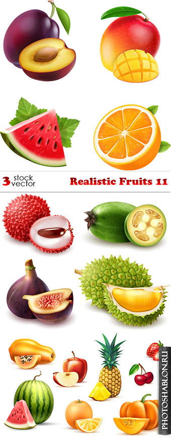 Векторный клипарт - Фрукты / Vectors - Realistic Fruits 11