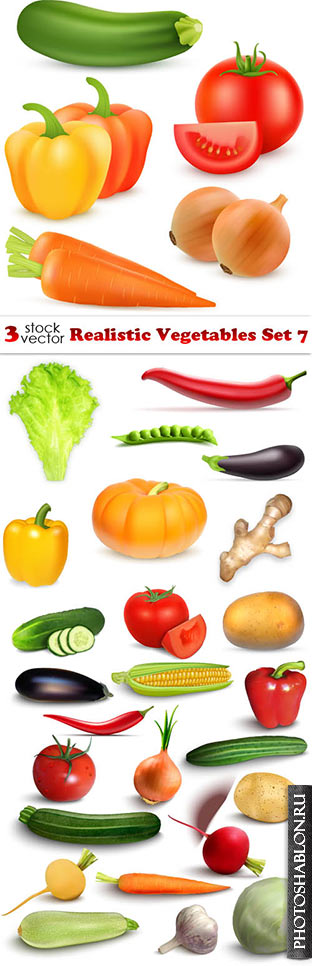 Векторный клипарт - Овощи / Vectors - Realistic Vegetables Set 7