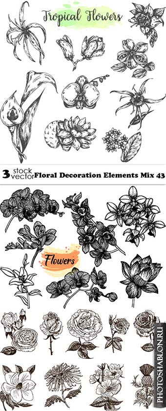 Vectors - Floral Decoration Elements Mix 43