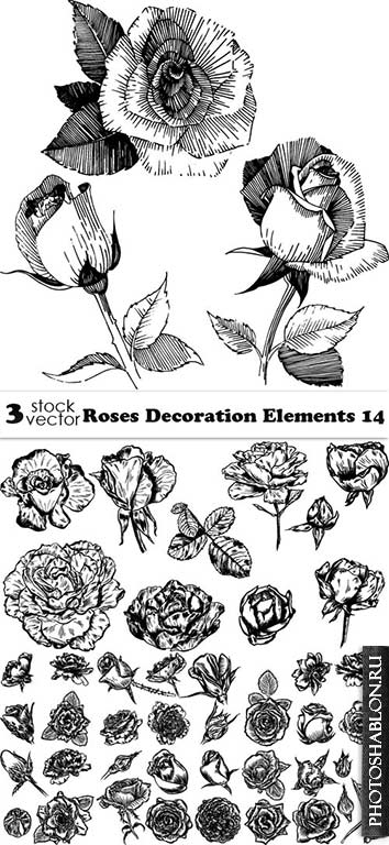 Векторный клипарт - Розы / Vectors - Roses Decoration Elements 14