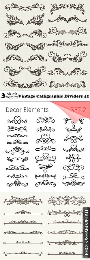 Vectors - Vintage Calligraphic Dividers 41