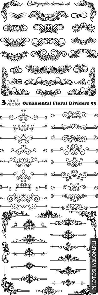 Vectors - Ornamental Floral Dividers 53