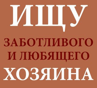 Хорошо отработать картинки