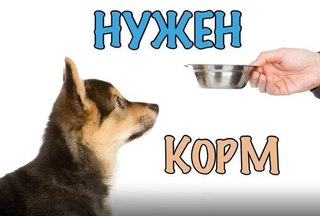 Сбор на корм картинки